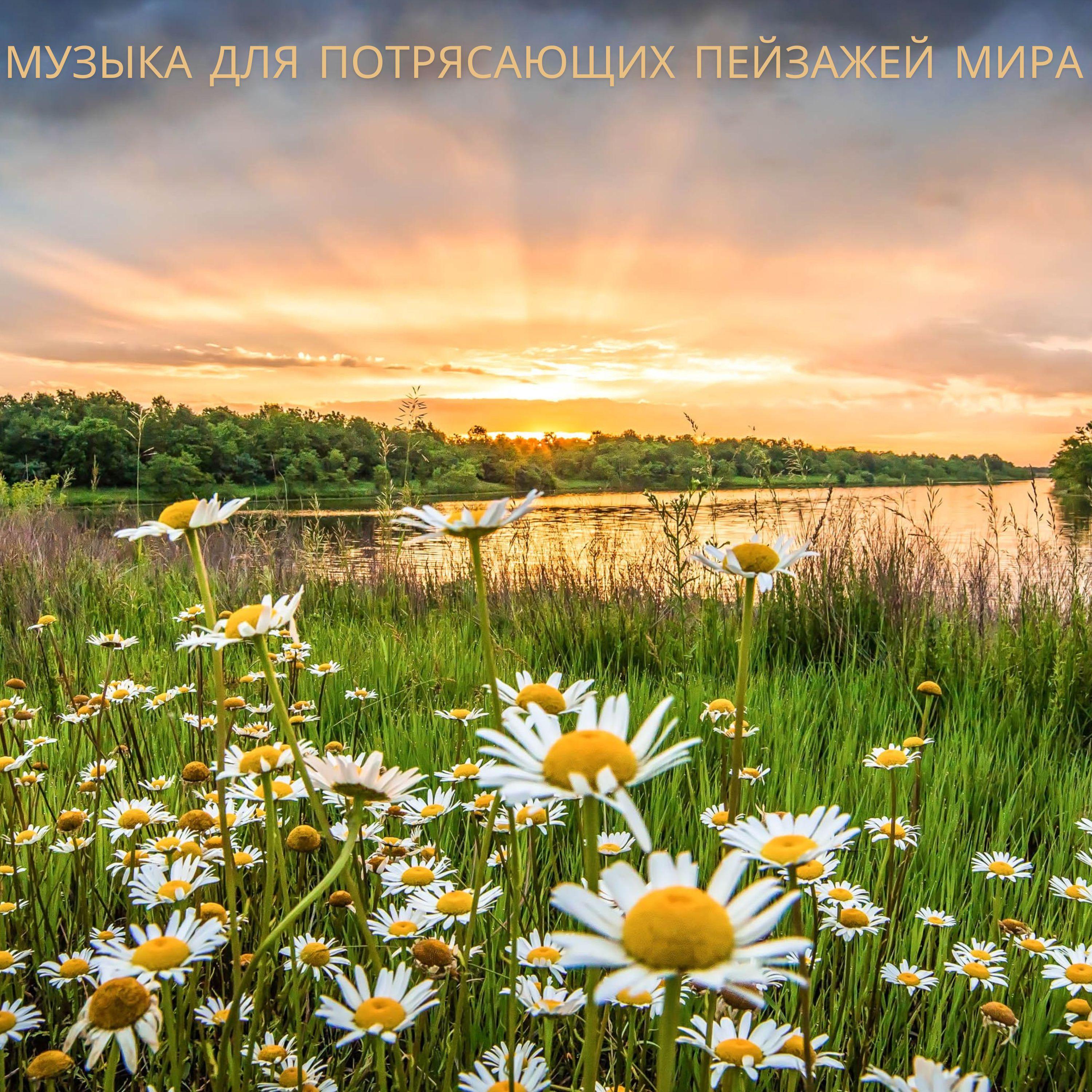 Лесной вечер и звуки воды