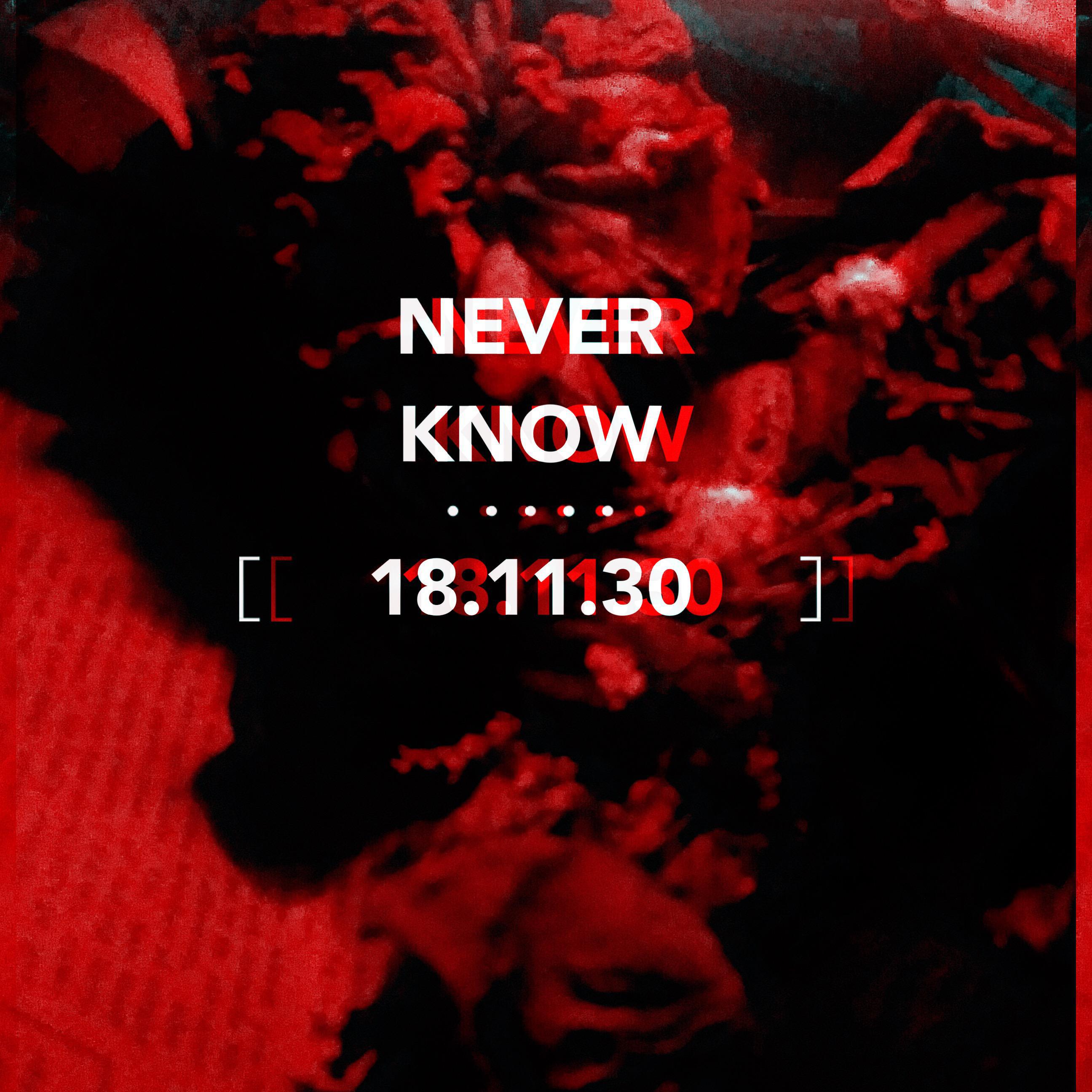 Never Know专辑