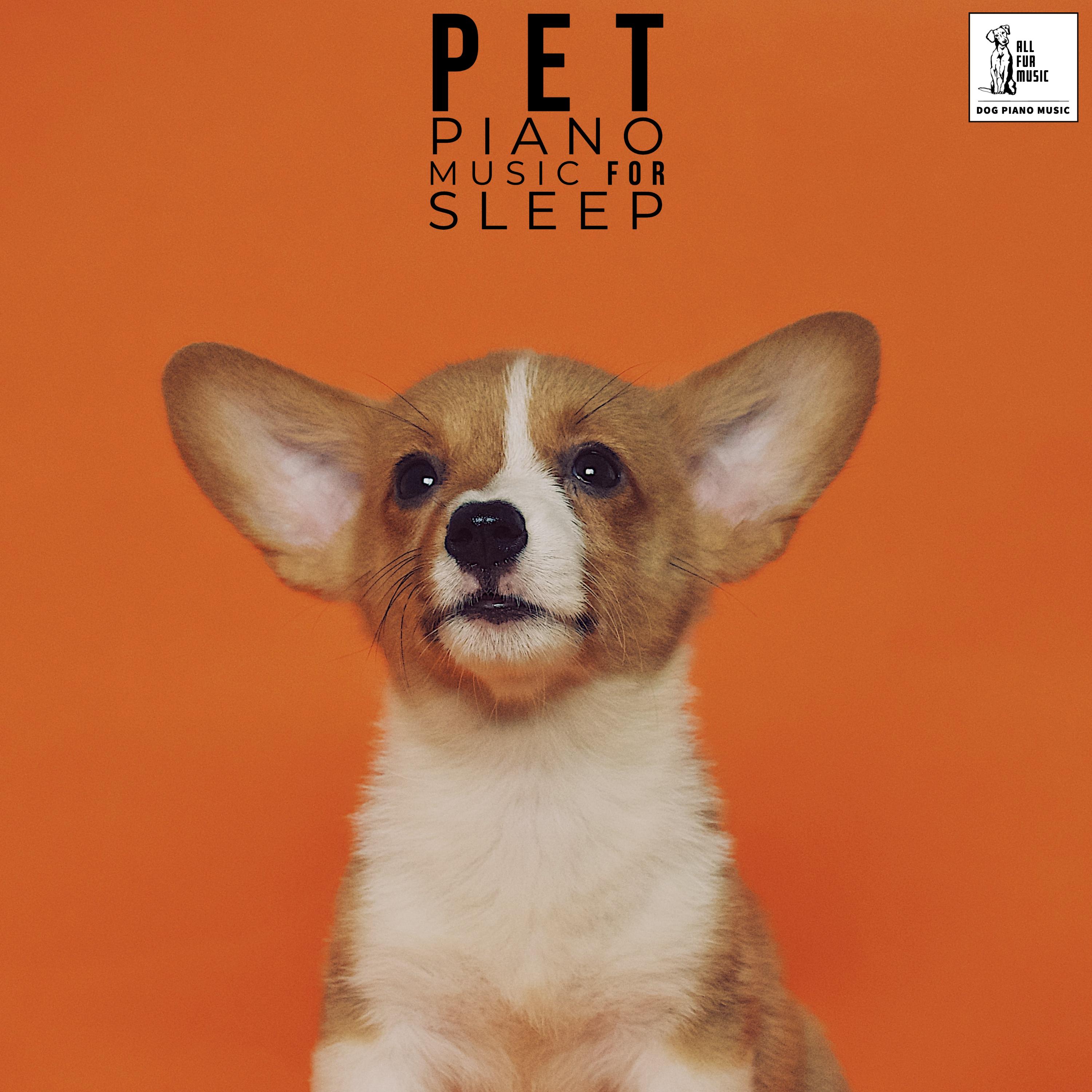 Pet Piano Music For Sleep