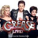 Grease (Is The Word)专辑