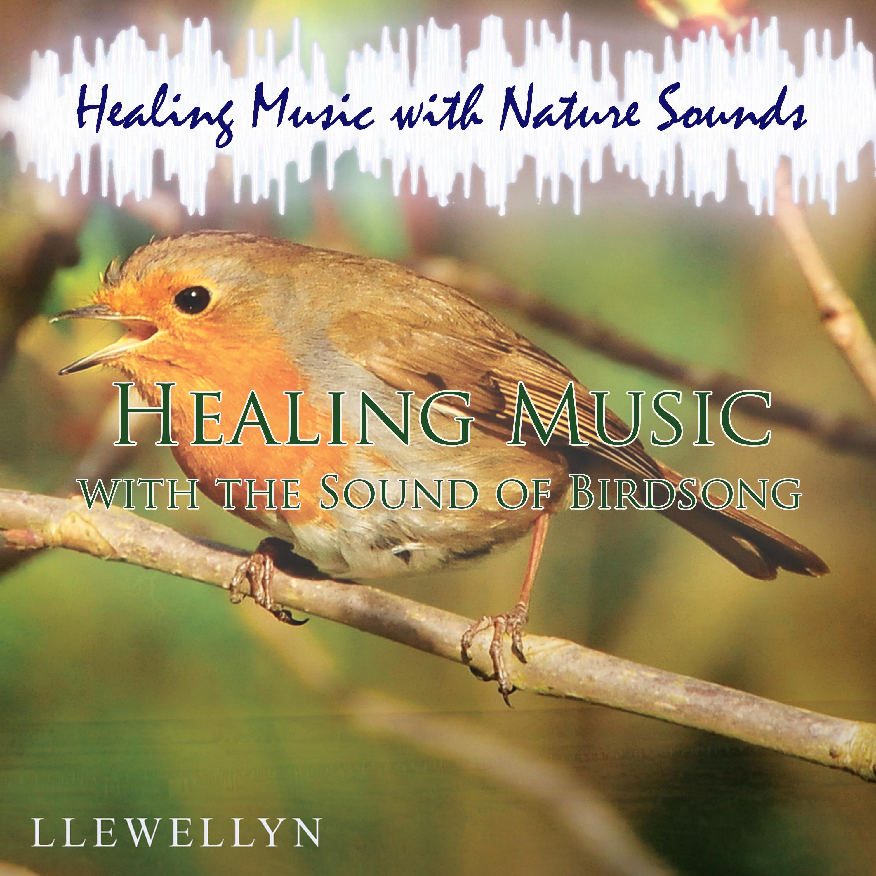 Healing Music with the Sound of Birdsong