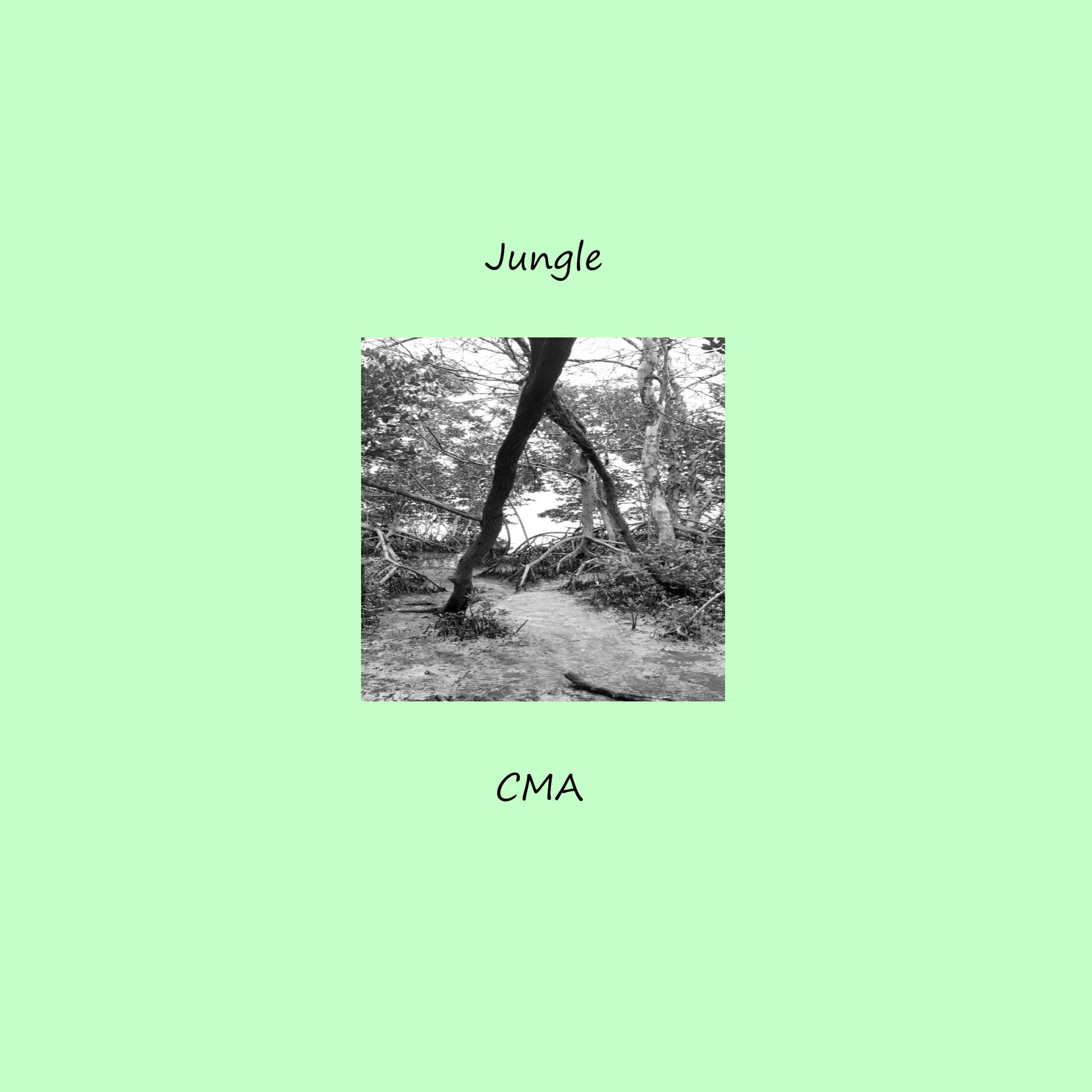 Jungle