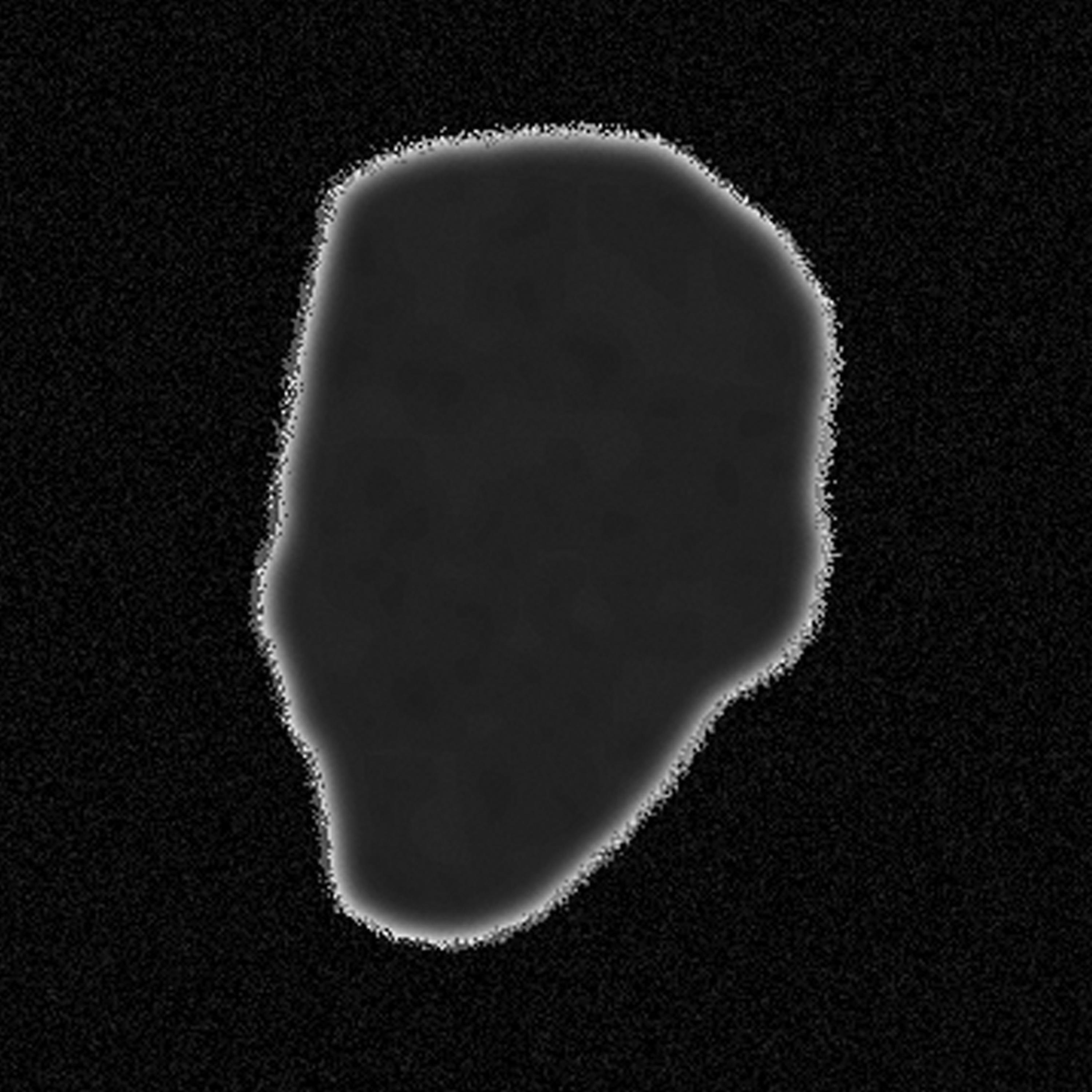 Spooky, Scary Skeletons