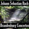 Brandenburg Concerto No- 3 in G Major, BWV 1048 II- Allegro & III- Andante