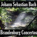 Johann Sebastian Bach: Brandenburg Concerto's专辑