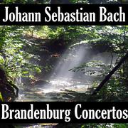 Johann Sebastian Bach: Brandenburg Concerto's专辑