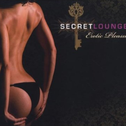 Secret Lounge : Erotic Pleasure专辑