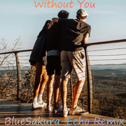 Without You (BlueSakura-Echo remix)