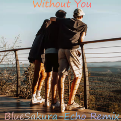 Without You (BlueSakura-Echo remix)