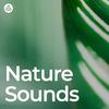 Waterfall Sounds - Top Nature Sounds for Sleep (Loopable, No Fade)