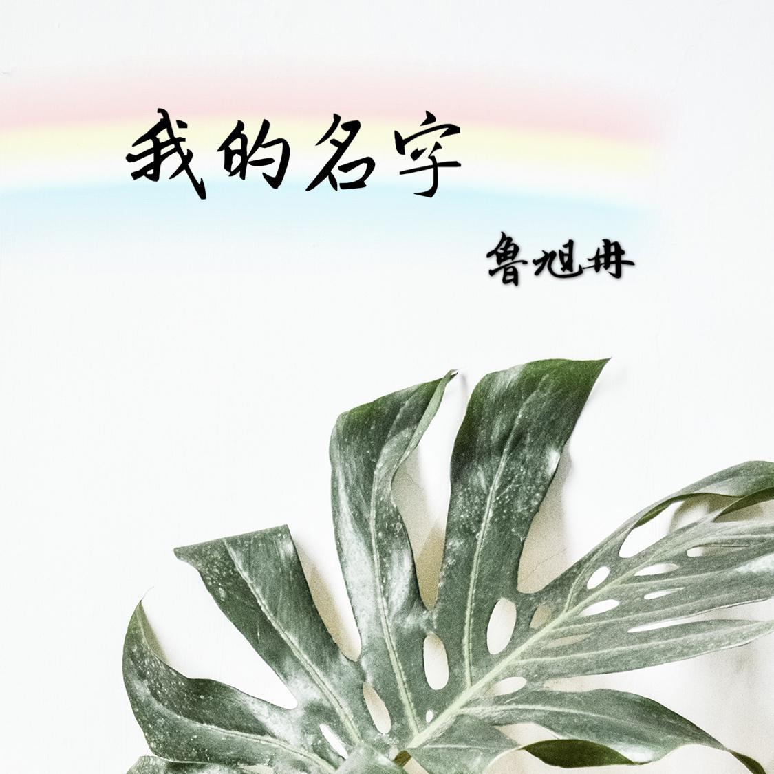 我的名字专辑