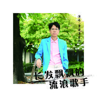 李金泽吉他-长发飘飘的流浪歌手