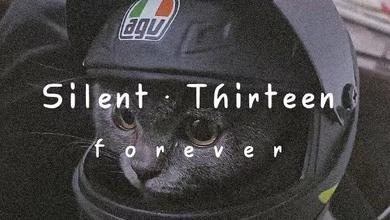 Silent thirteen