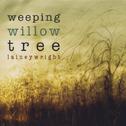 Weeping Willow Tree专辑