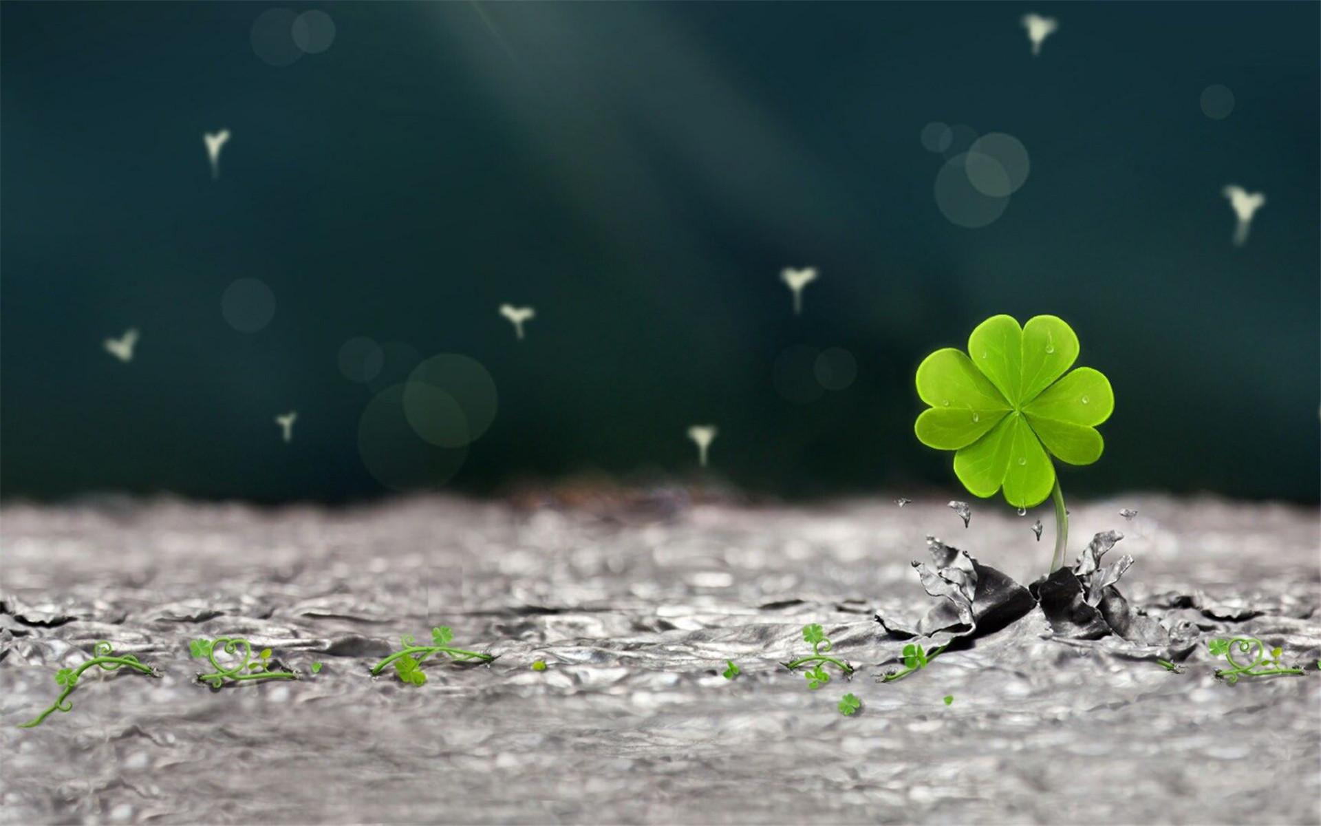 千与千寻（口琴版）（翻自 木村弓）