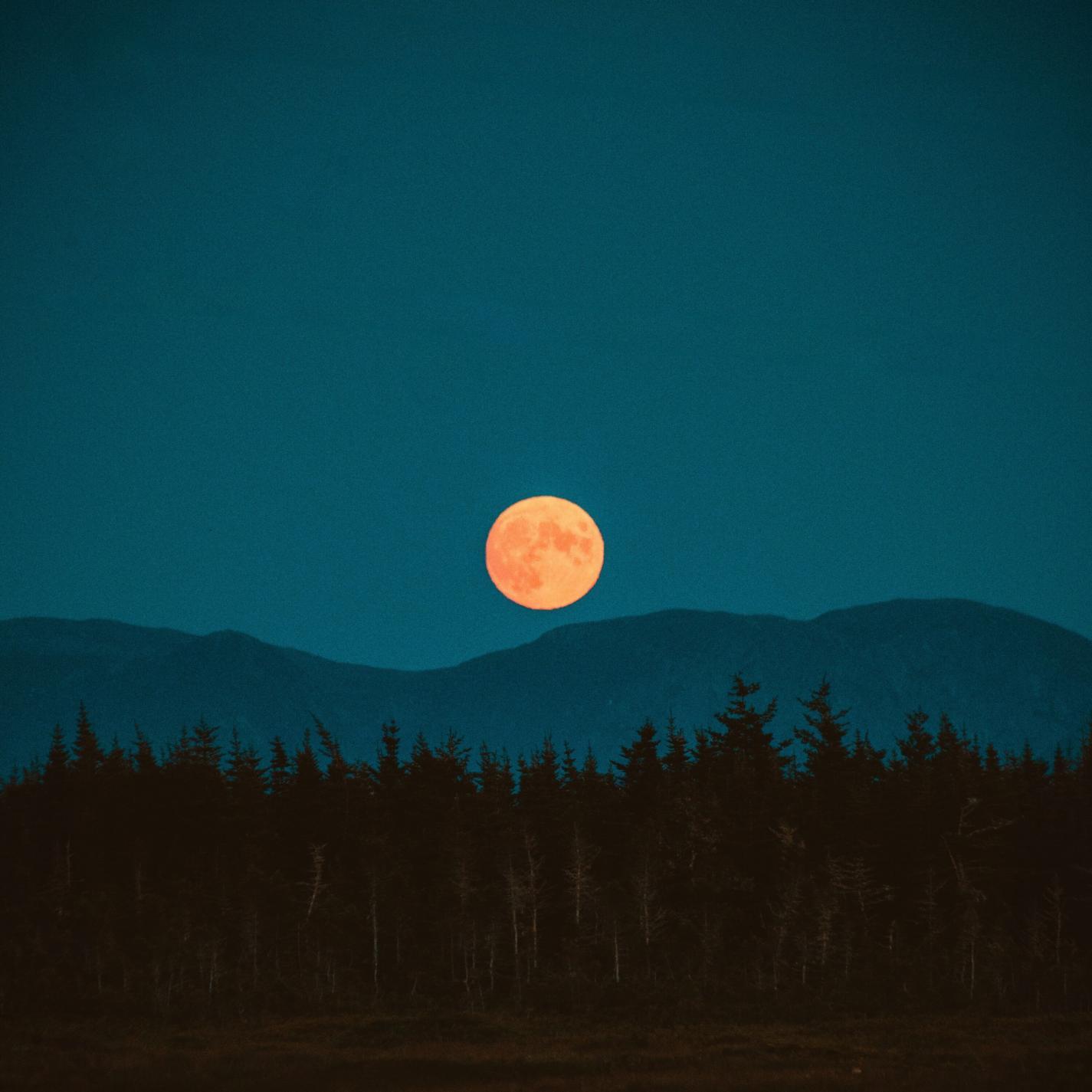 Healing (feat. Fedeflaviano)