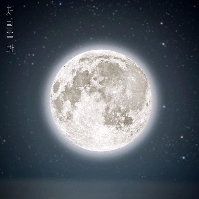 저 달을 봐