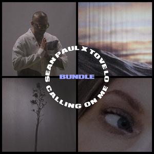 Calling on Me - Sean Paul, Tove Lo (VS karaoke) 带和声伴奏 （降1半音）