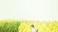 my last hope专辑