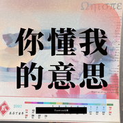 你懂我的意思