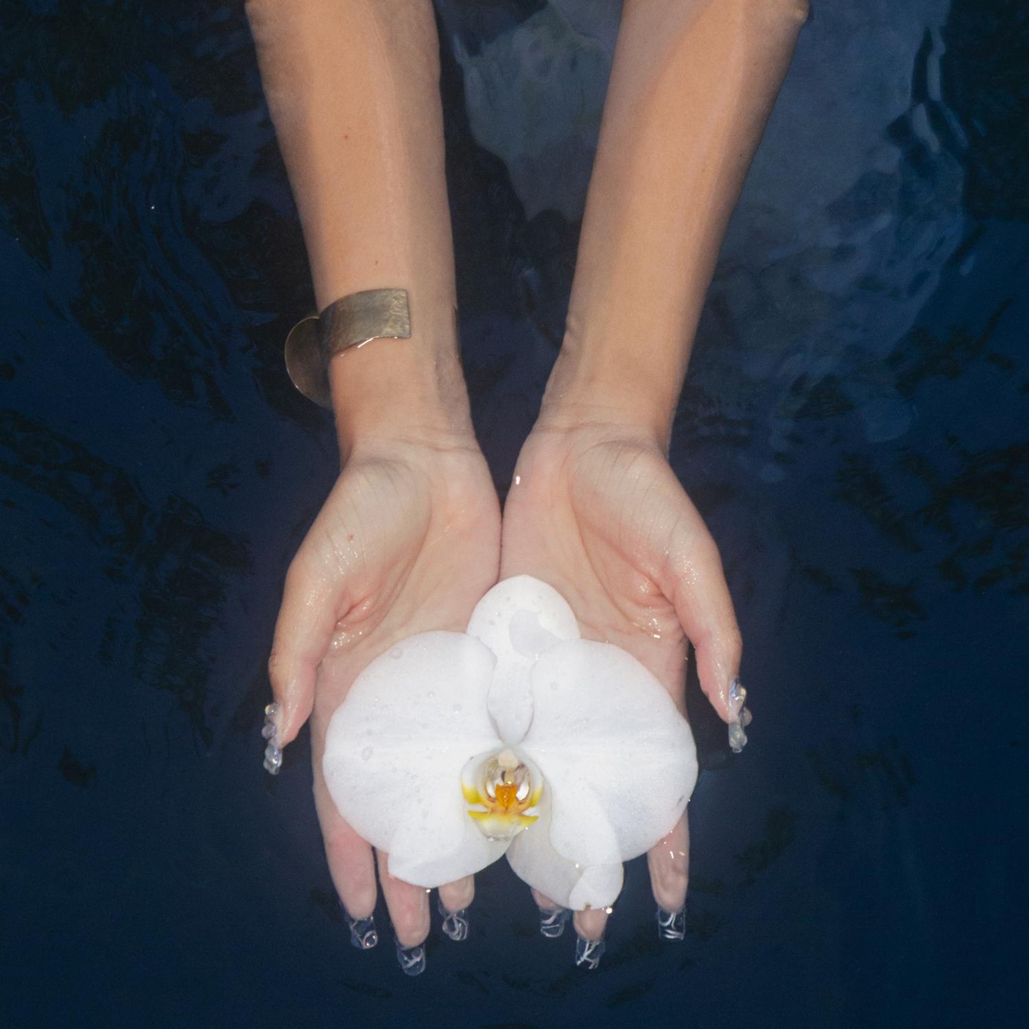 orchids (lullabies)专辑