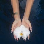 orchids (lullabies)专辑