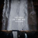 Ain't That Why (Skytech Remix)专辑