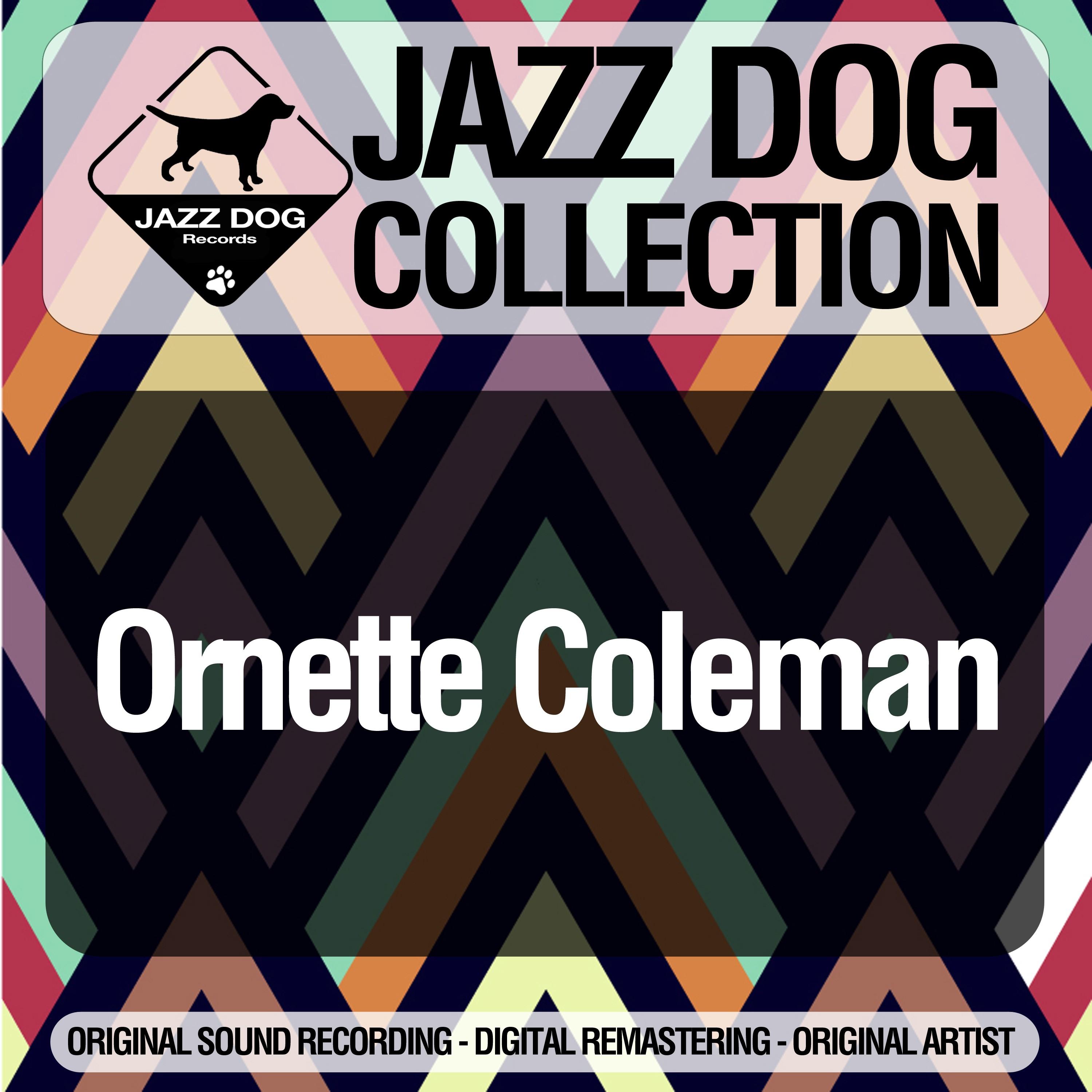 Jazz Dog Collection