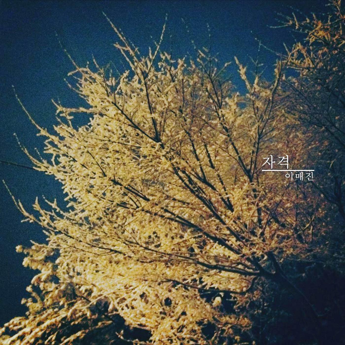 자격