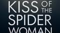 Kiss of the Spider Woman专辑