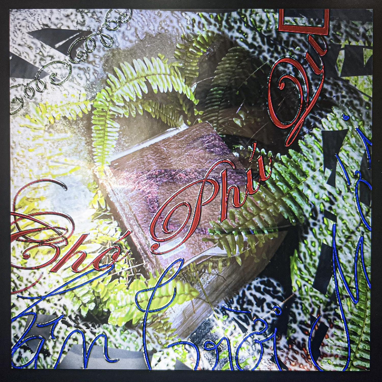 Cánh Đồng // Đêm Freestyle