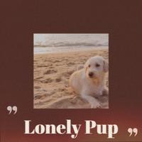 Lonely Pup - Adam Faith (karaoke)