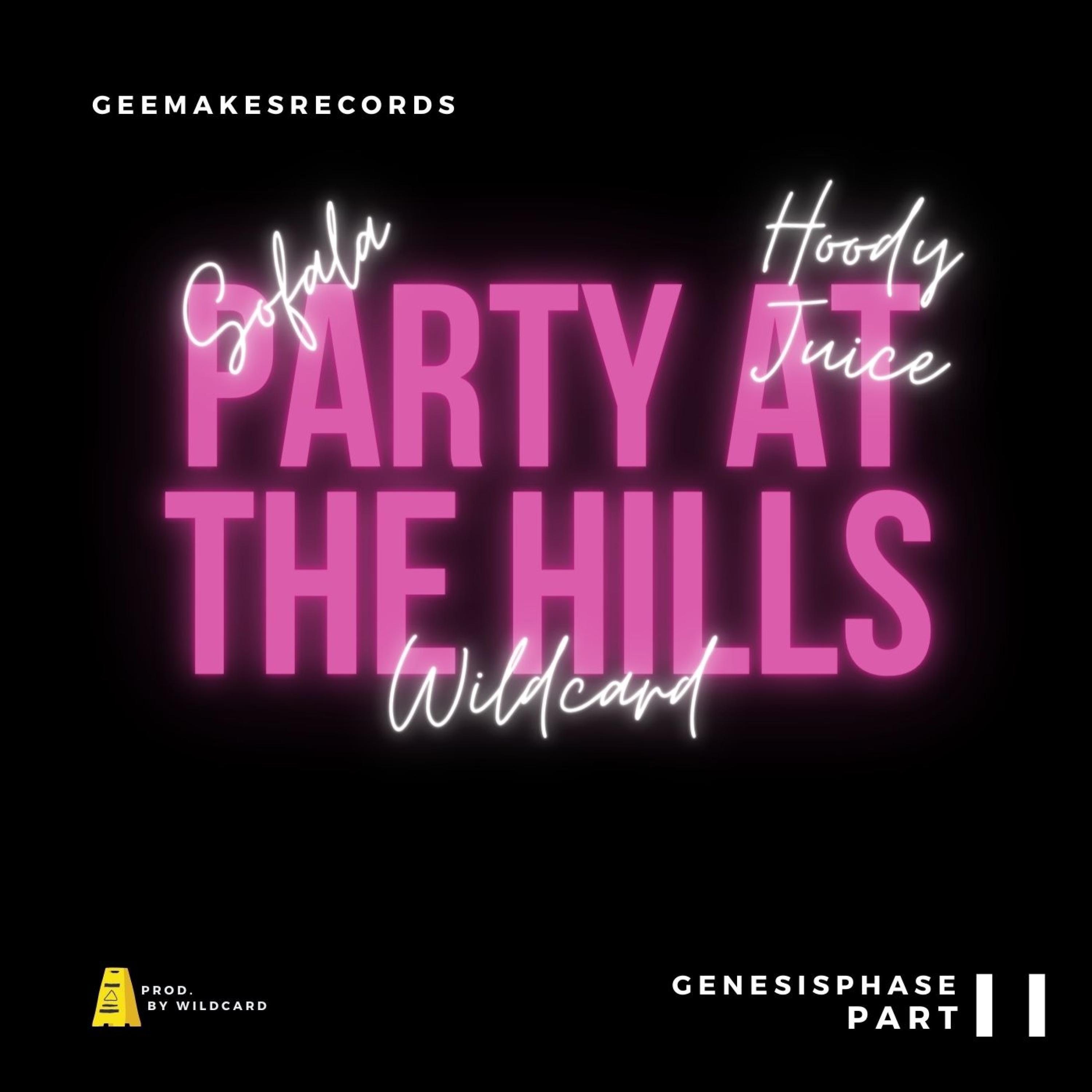 Party At The Hills (feat. Wildcard, YTN Sofala & Hoody Juice)