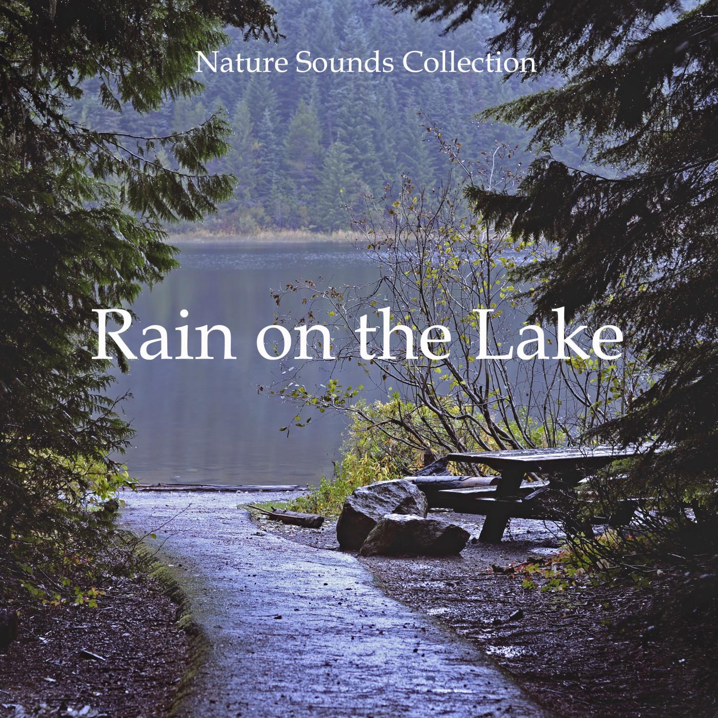 Nature Sounds Rain on the Lake, Pt. 28