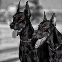 Lmfao - Sexy And I Know It (Djseven House) (Clean) 125bpm 125