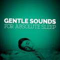 Gentle Sounds for Absolute Sleep