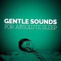 Gentle Sounds for Absolute Sleep专辑