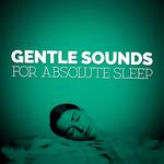 Gentle Sounds for Absolute Sleep专辑