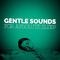 Gentle Sounds for Absolute Sleep专辑