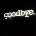 Goodbye