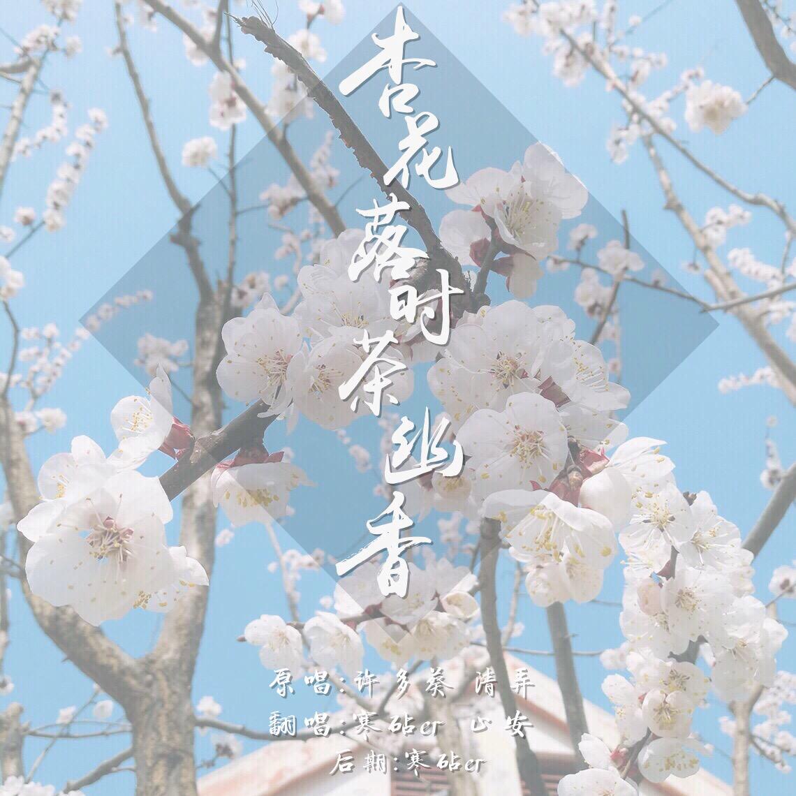 杏花落时茶幽香专辑