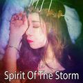 Spirit Of The Storm