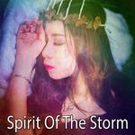 Spirit Of The Storm专辑