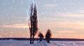 Winter Peace专辑
