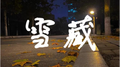 雪藏专辑