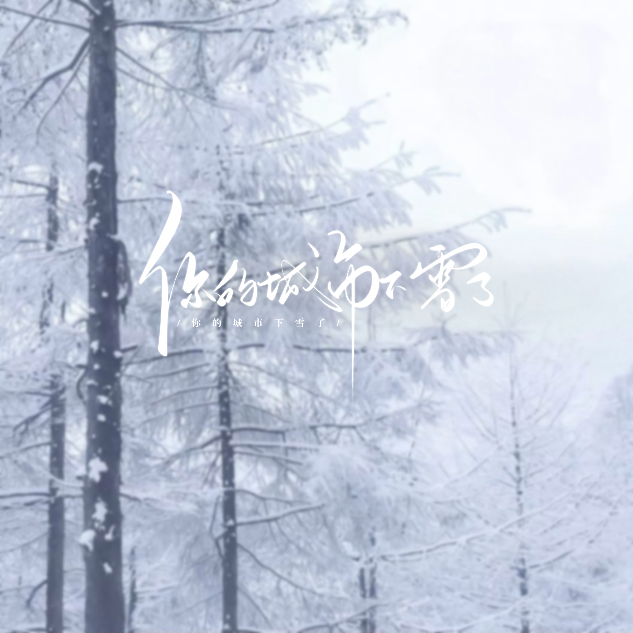 你的城市下雪了
