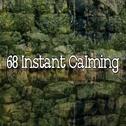 68 Instant Calming专辑