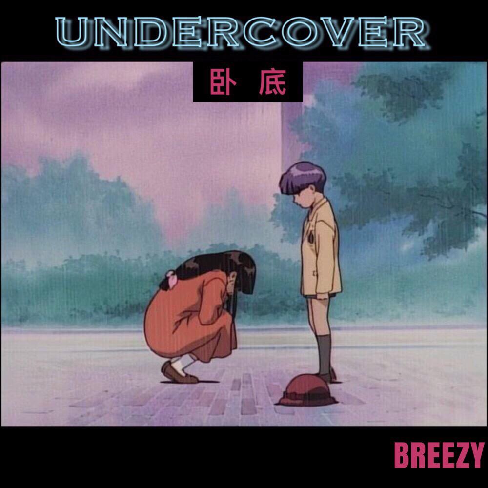 UNDERCOVER(卧底)专辑