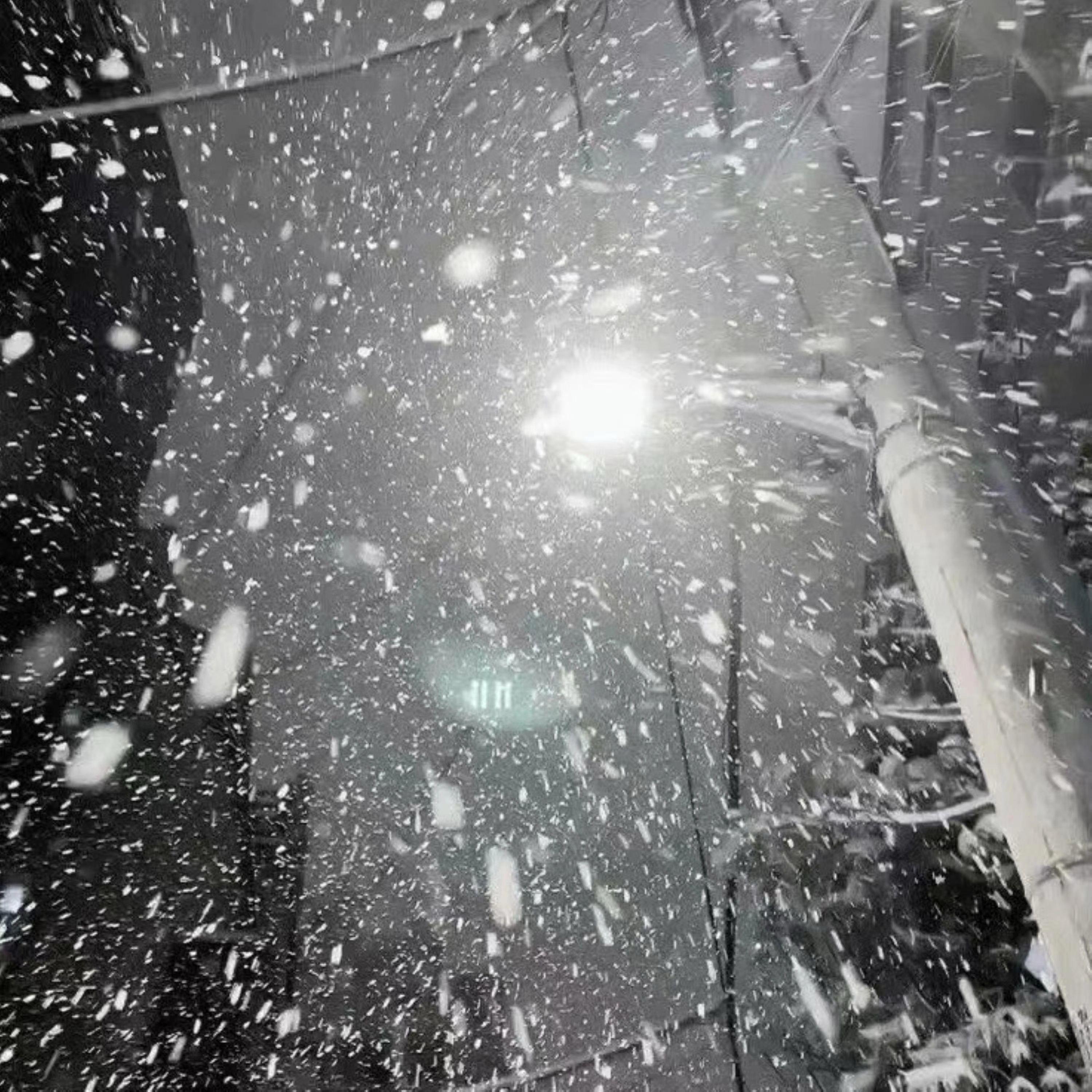 Tropic Life（Slow Down）