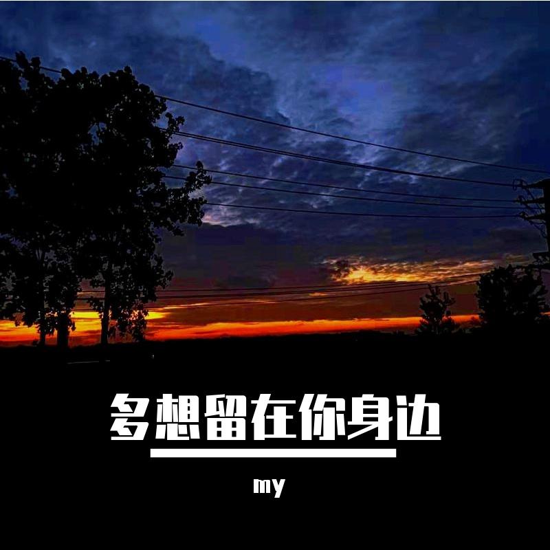 多想留在你身边
